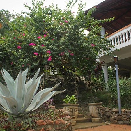 Hotel M&M Casa Blanca Playa Ocotal エクステリア 写真